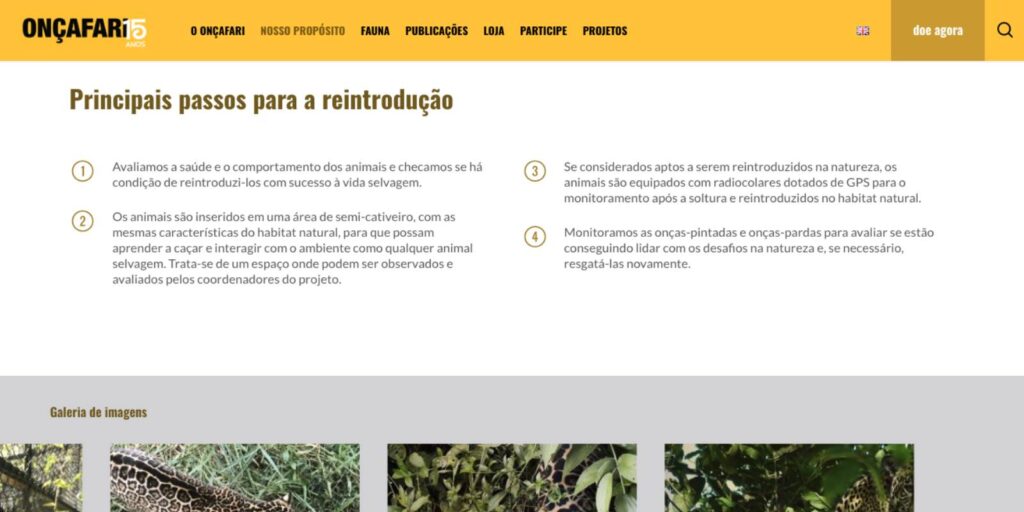 site-oncafari-2